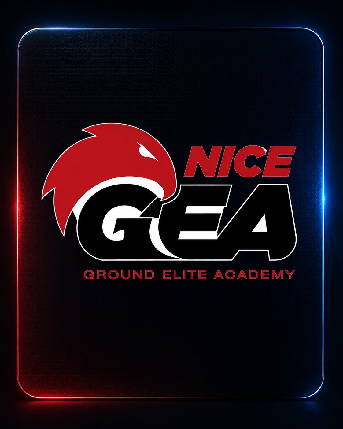 Ground Elite Academy — Nice